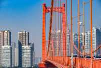 火遍全網的武漢鸚鵡洲長江大橋,打卡攻略來啦!