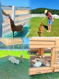 來自宜興紫砂壺商的旅遊景點推薦