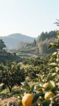 12月的麻陽三天兩晚，解鎖湘西小城慢時光！