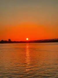 蕪湖花最值6元 輪渡江景直接封神