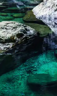 以為南京的秋天很美了,直到去了皖南