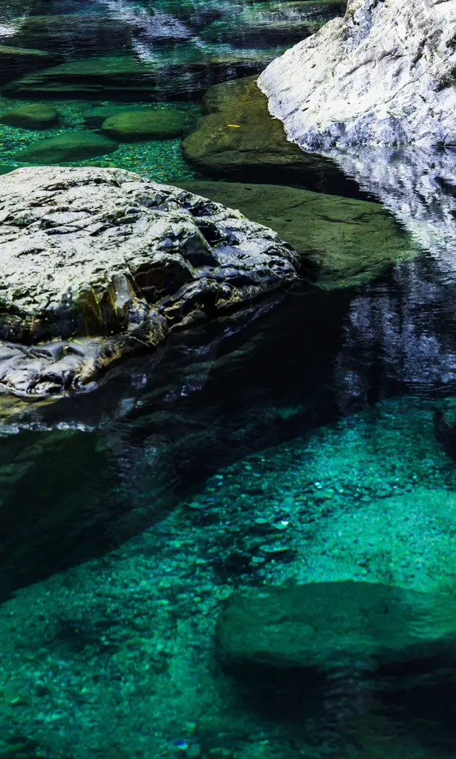 以為南京的秋天很美了,直到去了皖南 以為南京的秋天很美了,直到去了皖南