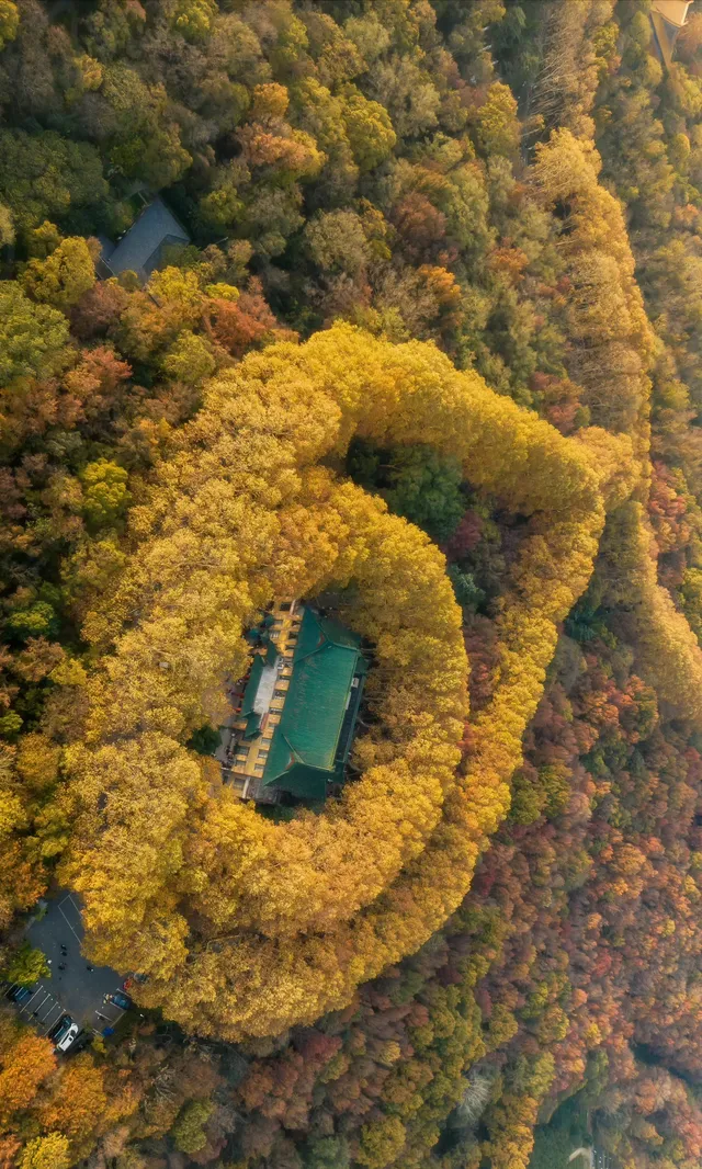 暮秋風起染金陵 我拍到一整個南京的秋天 暮秋風起染金陵 我拍到一整個南京的秋天