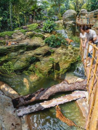 Singapore upgrades family outings with Asia's first adventure park! Winter vacation bookings now open