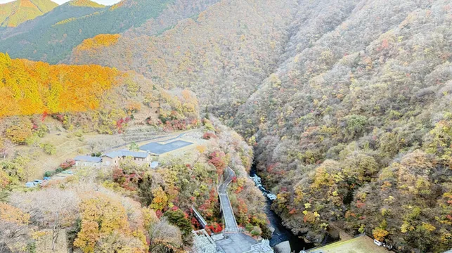 東京秋日限定-奧多摩湖紅葉秘境攻略