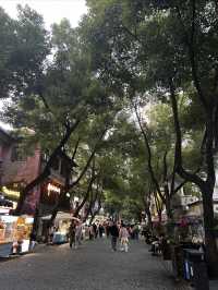 黎黃陂路上的巴公房子