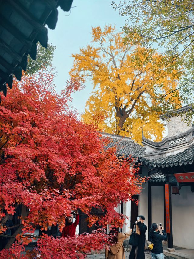 惠山古鎮免費遊玩攻略！秋日限定美景+精華路線