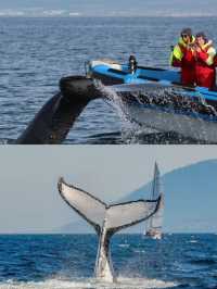 計劃去冰島的趕緊存給P人懶人一點點震撼