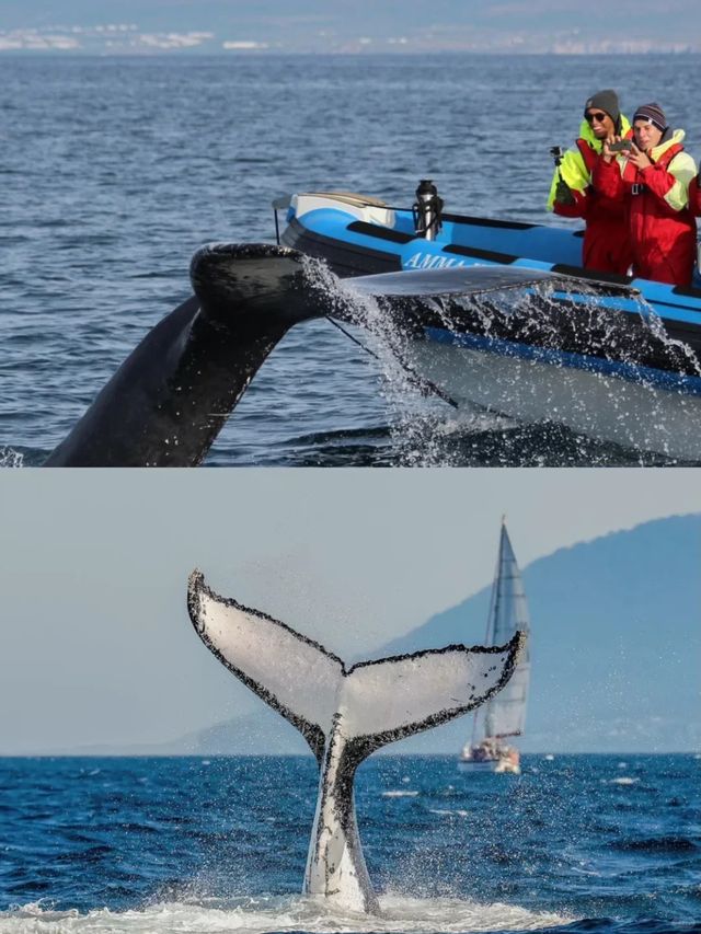 計劃去冰島的趕緊存給P人懶人一點點震撼