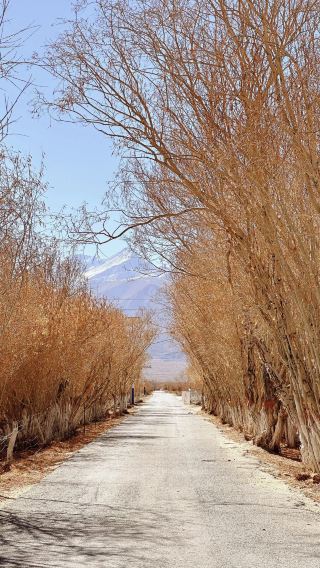 Tahaman, a border village full of freedom and kindness