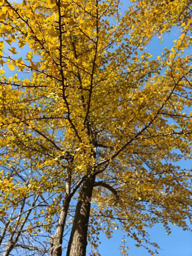 無錫6公里油畫輕徒步路線