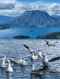 瀘沽湖已回，真心建議還未出行的……