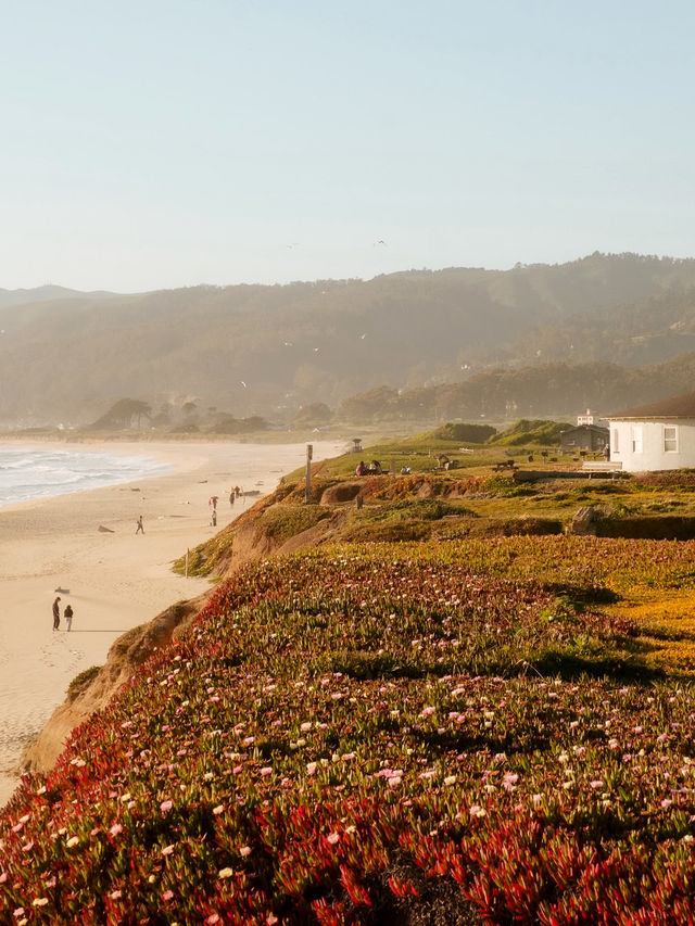 美國聖誕旅行清單！四個必去冬日特色好去處
