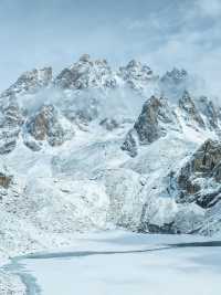 蓮寶葉則保姆級攻略