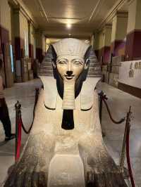 冬日限定埃及10日遊攻略來啦