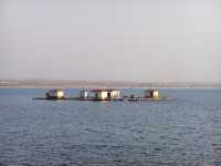 泰山天頤湖免費打卡攻略