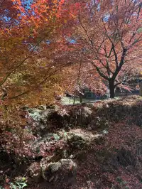 不是京都!實況無調色
