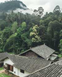 芋頭古侗寨:穿越600年的侗鄉“小布達拉宮”,沉醉在五彩曬秋