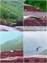 比蘇杭更治癒,我在江南祕境找到了嚮往的生活