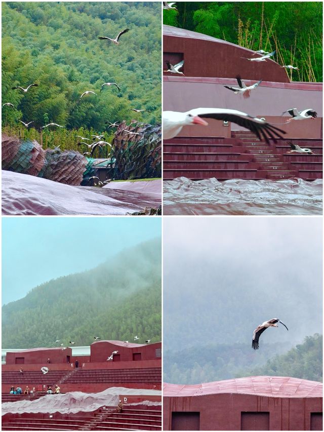 比蘇杭更治癒,我在江南祕境找到了嚮往的生活 比蘇杭更治癒,我在江南祕境找到了嚮往的生活