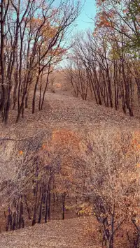 鄭州1.5h直達!小眾免費一日遊!小川西!