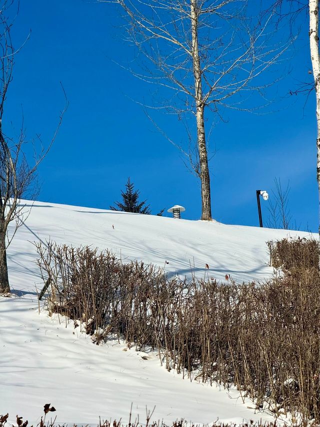 2025.12月長白山萬達實拍及遊玩攻略 2025.12月長白山萬達實拍及遊玩攻略