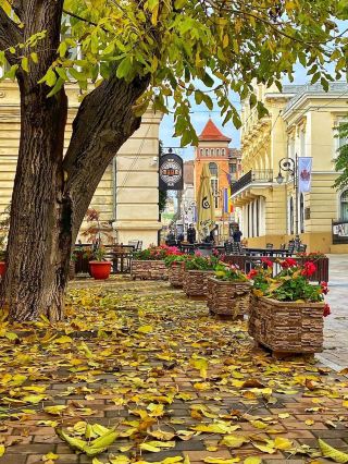 Iași: The Treasure City of Romania Recommended