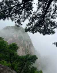 縉雲小黃山徒步攻略|小眾秘境+徒步時長全解鎖