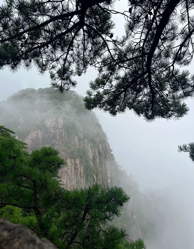 縉雲小黃山徒步攻略|小眾秘境+徒步時長全解鎖 縉雲小黃山徒步攻略|小眾秘境+徒步時長全解鎖