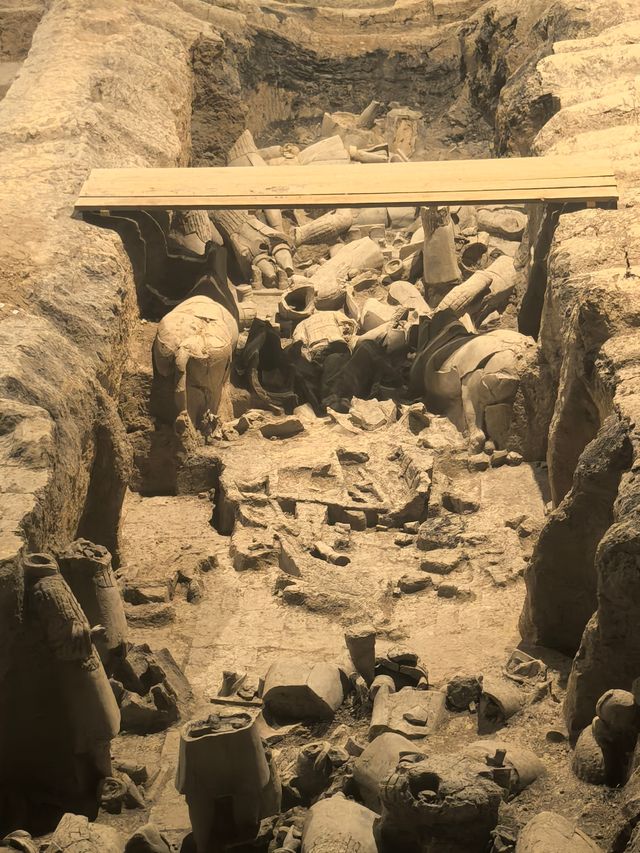 麗山園兵馬俑之旅