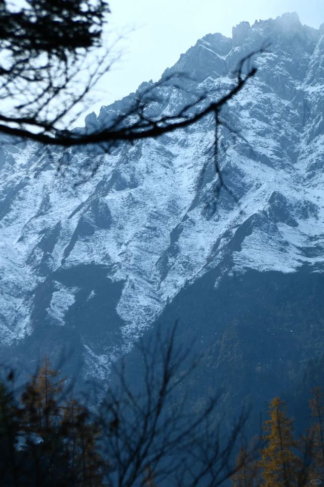 官鵝溝冬季 1 日遊冰瀑雪景全攻略