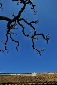 青浦隱世秋色地圖驚嘆老祖宗的審美