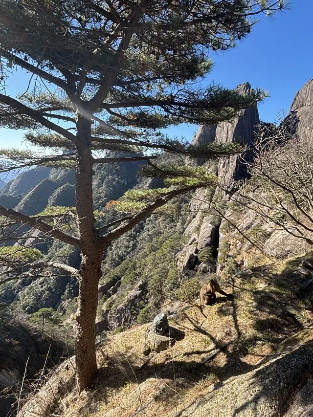 女大爬黃山 不住宿版路線