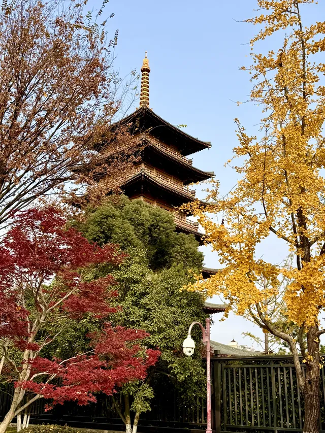 live赴一場人少景美的寶山寺唐風紅葉之約 live赴一場人少景美的寶山寺唐風紅葉之約