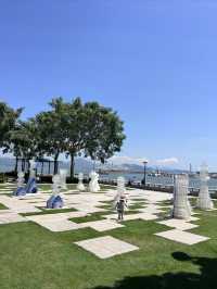 避開人擠人深圳灣親子騎行攻略,新手友好