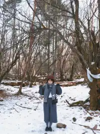 理小路｜近期快衝！下雪的川西可好拍了！