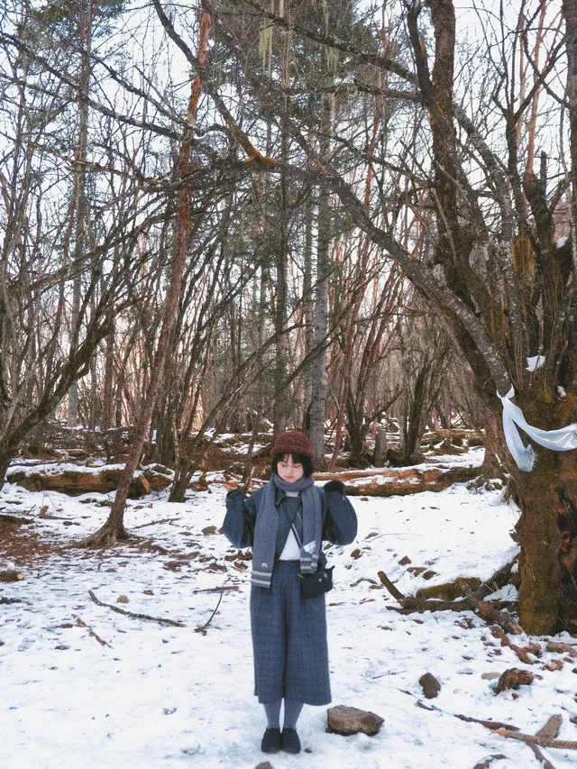 理小路｜近期快衝！下雪的川西可好拍了！