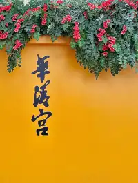 爬驪山贏10萬?!華清宮保姆級攻略附路線!