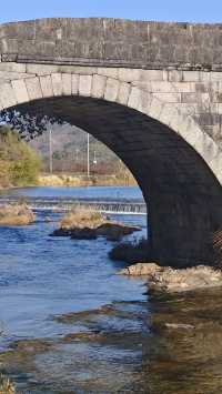 寧波賞秋徒步天花板