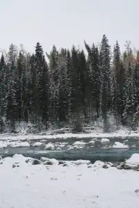 新疆阿勒泰｜冬日喀納斯美得不像人間