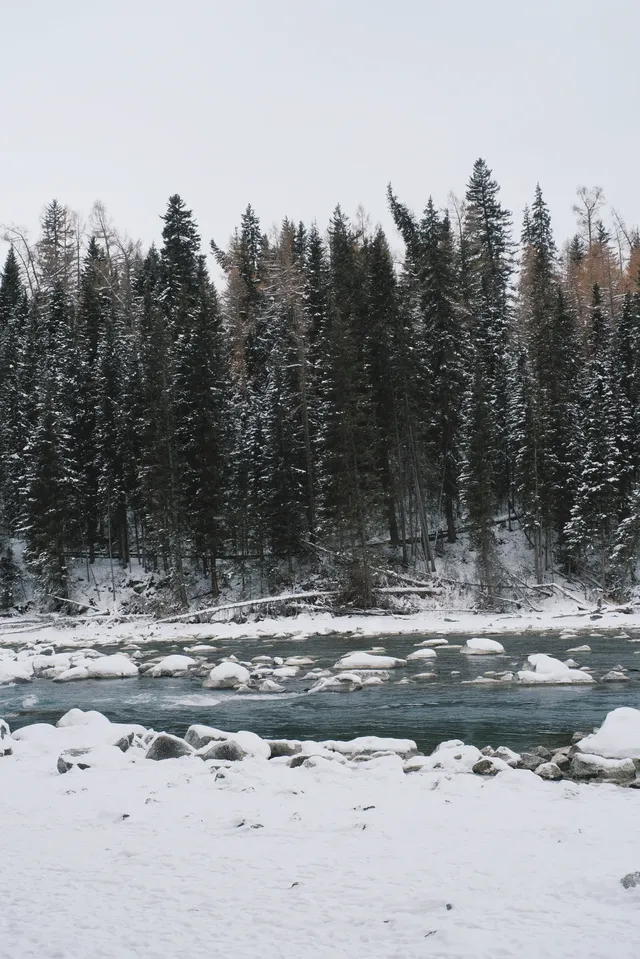 新疆阿勒泰｜冬日喀納斯美得不像人間