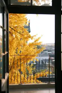 揚州蘇唱街|12月1日下午拍攝,這週得趕緊衝!