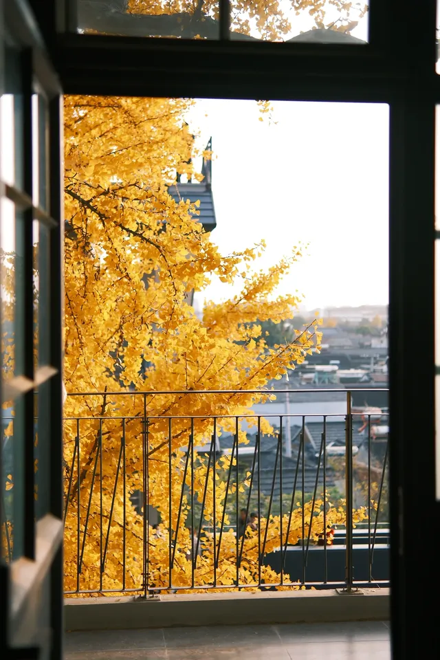 揚州蘇唱街|12月1日下午拍攝,這週得趕緊衝! 揚州蘇唱街|12月1日下午拍攝,這週得趕緊衝!