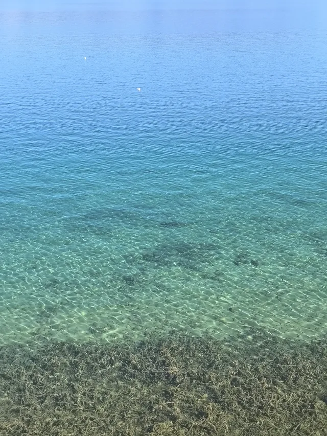 在瀘沽湖酒店看到晨霧！12.5實拍