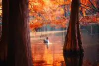 連夜來到南京只為拍到這幾張