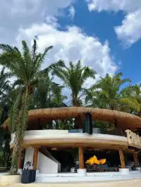 在熱帶冬天裡，被花卉園治癒的8小時