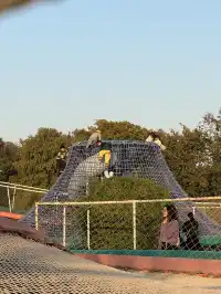 上海辰山植物園|去過超十次,還是想去!