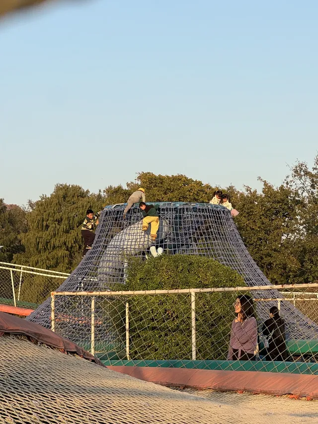 上海辰山植物園|去過超十次,還是想去! 上海辰山植物園|去過超十次,還是想去!