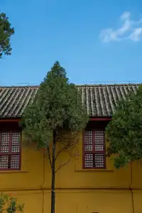 如果冬天只想去一個城市,那就是昆明