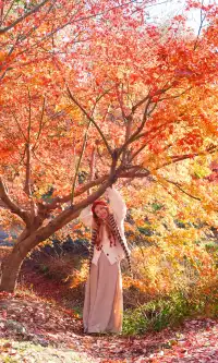 不誇張這是上海拍楓葉最美的公園了